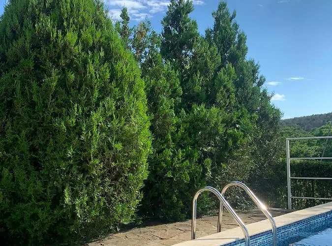 Silver Star Daire Süzebolu